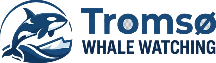 Tromsø Whale Watching